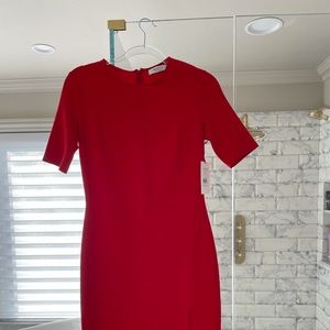 Brand New Dress with Thad